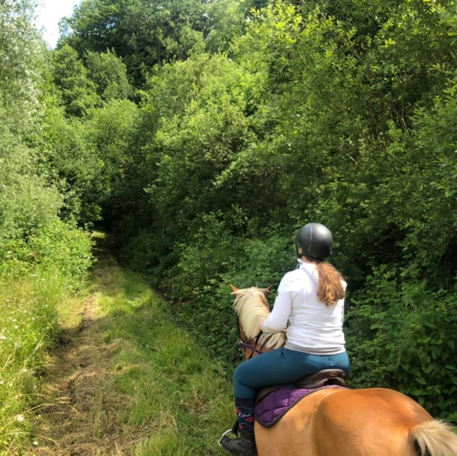 En pleine forêt du Calvados