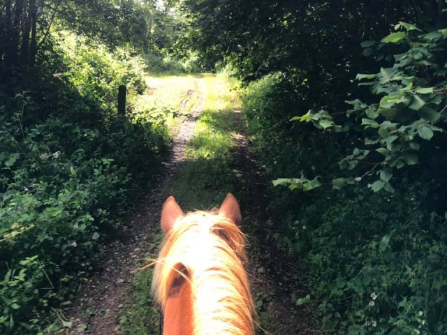 En tête de la balade à cheval