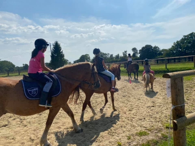 Préparation pour aller en balade à cheval