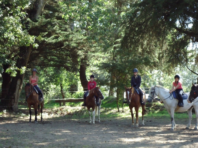  Group horseback ride 