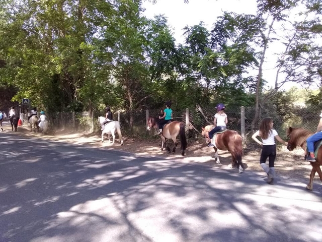  Let's go for horseback riding! 