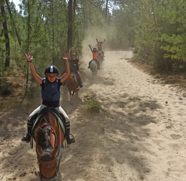  Das Pony hat Spaß in der Vendée! 