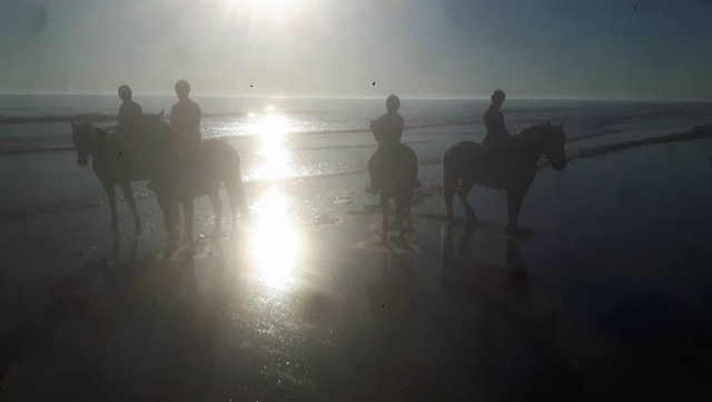 Balade à cheval au coucher de soleil