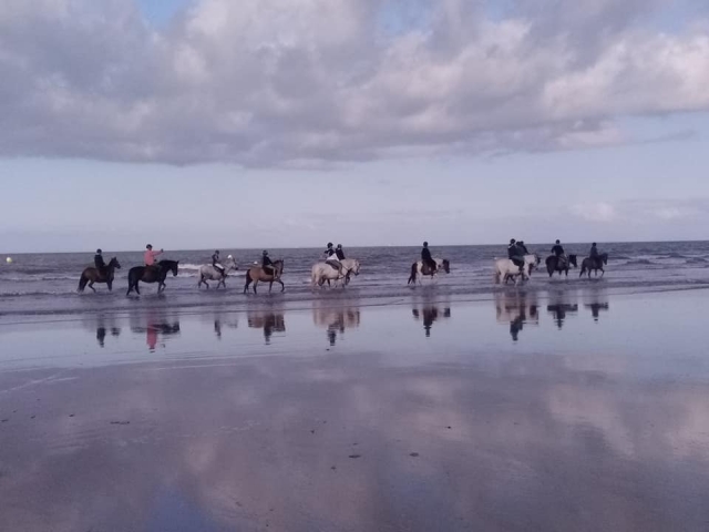 Balade à cheval en groupe