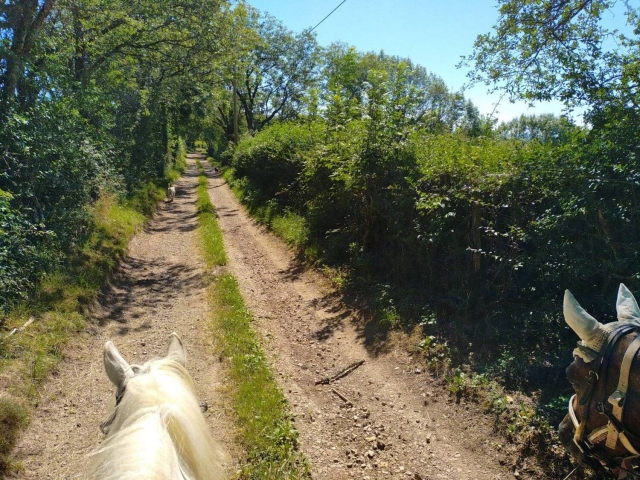  Passeggiata a cavallo sui sentieri della Corrèze 