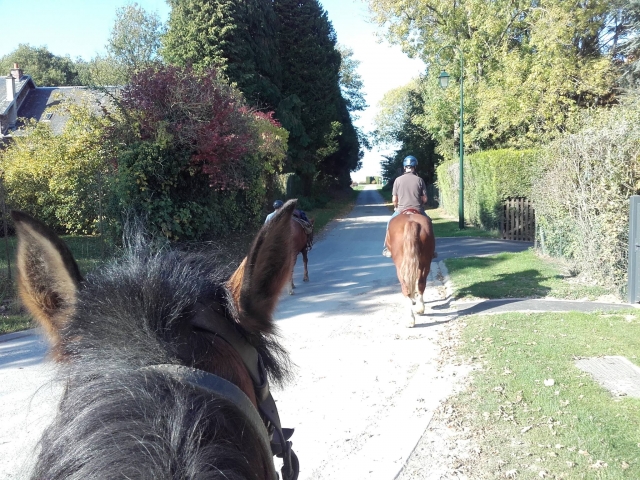 Reiten in der Aisne 