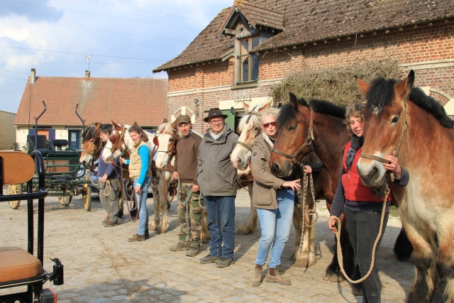 Prêts pour la balade à cheval