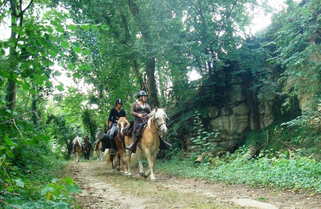 Sortie à cheval à Trefcon