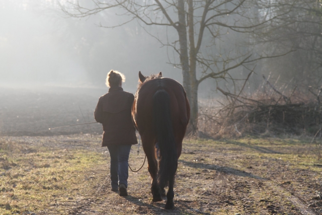  Paseo a caballo al amanecer 