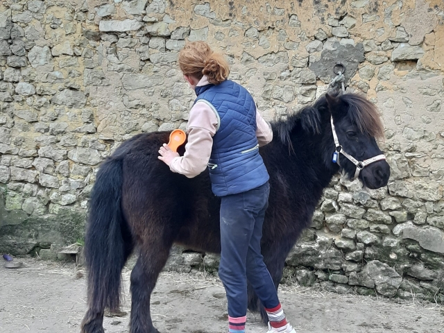 Love for the pony 