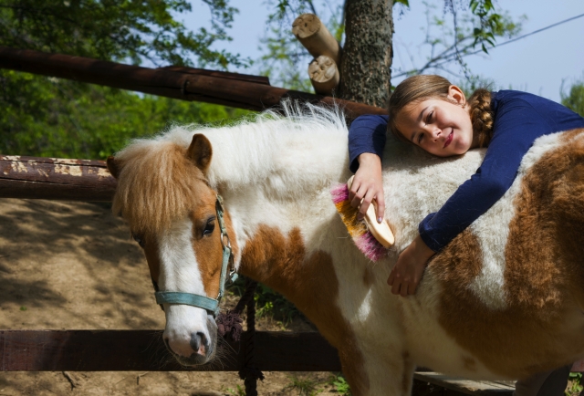 Taking care of equines 