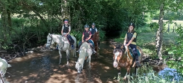 Paseo vigorizante en pony 
