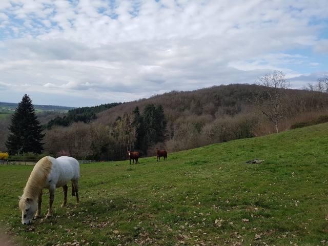  Magnífico panorama verde