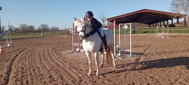  Discovery of horse riding 