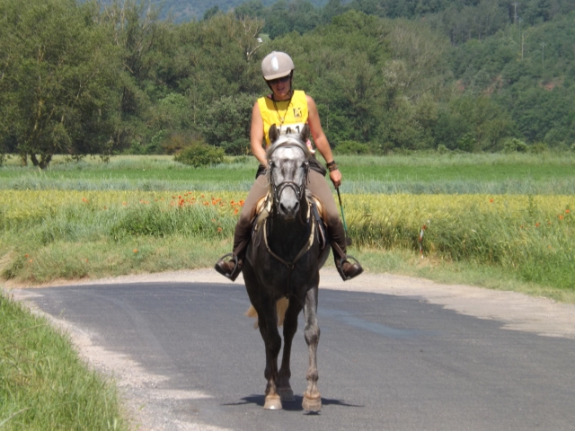  Paseos a caballo cerca de Rodez 