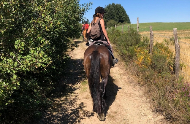 Paseos a caballo por los senderos de Réquista 