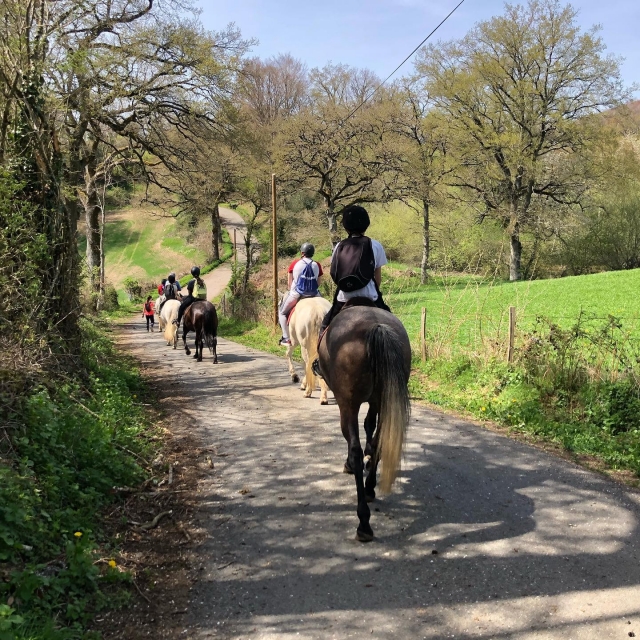  On the way to discovery on horseback 