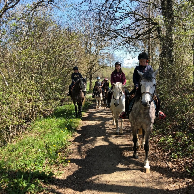  Ride off the beaten track on horseback