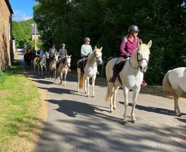Paseo a caballo agradable y cálido 