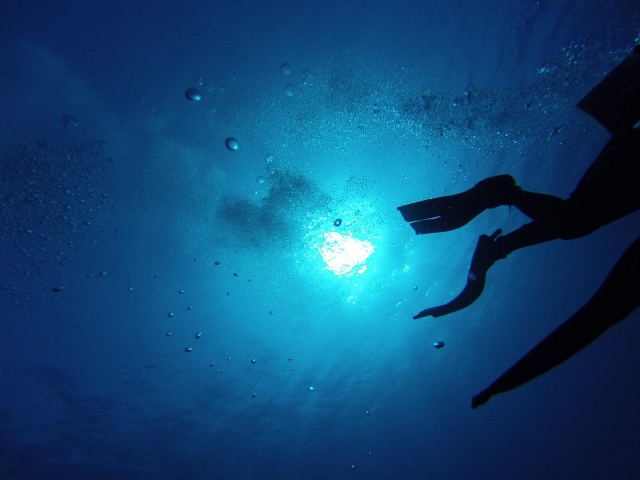  Snorkeling in Marseille 