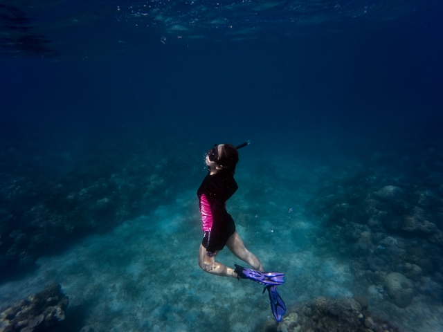  The coves of the Marseille Natural Park are waiting for you!