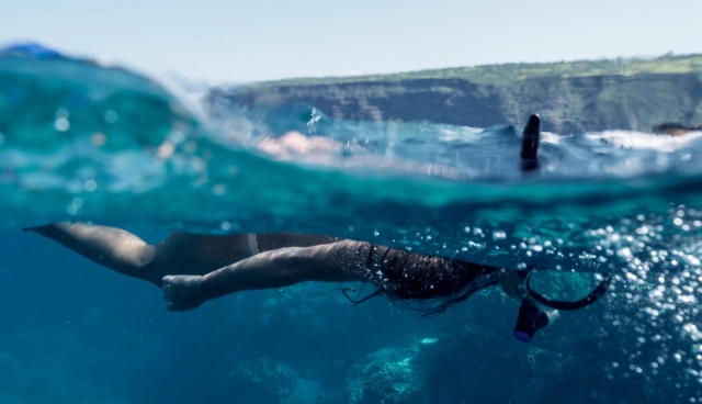 Discovery of the seabed and the fauna and flora by Snorkeling 