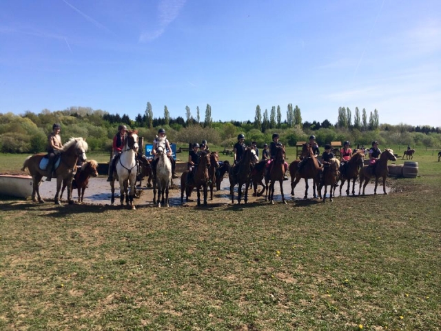  Paseos a caballo cerca de Metz 
