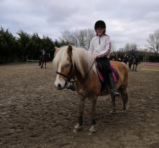 Balade à Poney dans le parc Scarpe-Escaut - 2 h