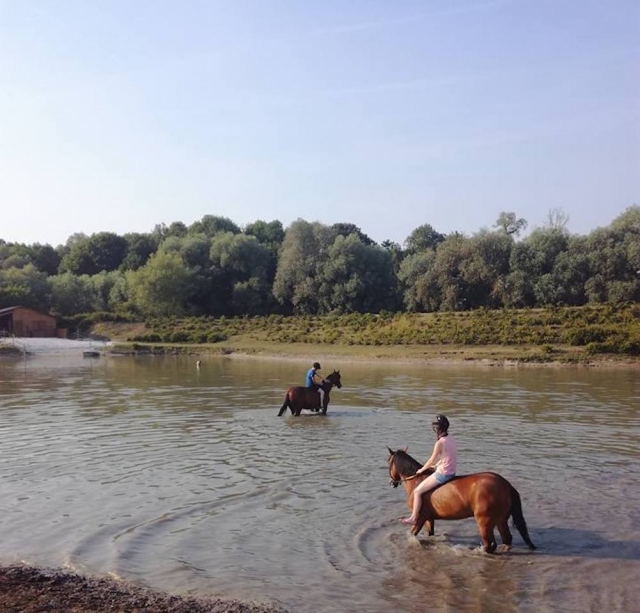  Passeggiata in pony nell'Escaut 