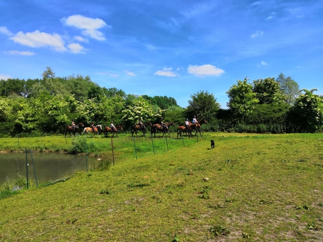  Passeggiata in pony in estate 