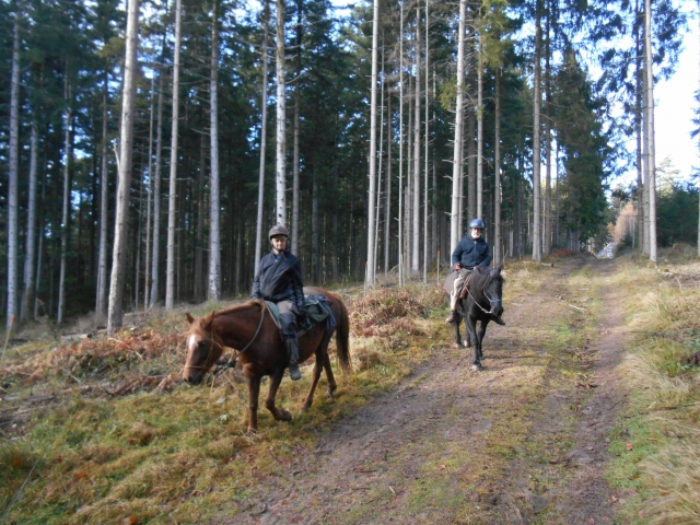  Reiten im Grand Est 