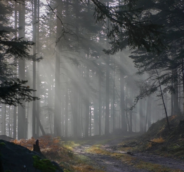  Magische Landschaft in Natur