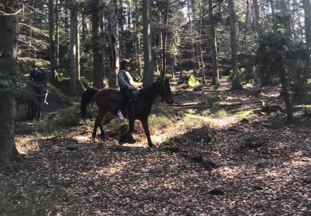  Ausritt im wilden Wald 