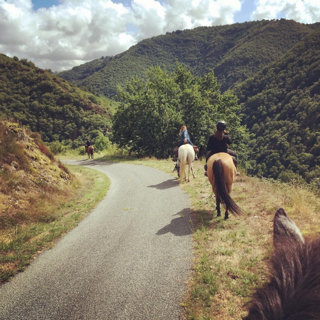  Magnífico paisaje montañoso de Cantal 