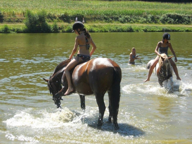  A nuestros caballos les encanta meterse en el agua 