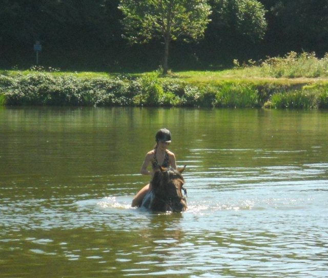 Paseos a caballo en Cantal 