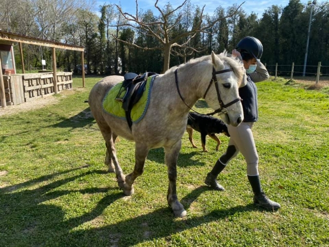  Pronti per la passeggiata a cavallo nel Vaucluse 