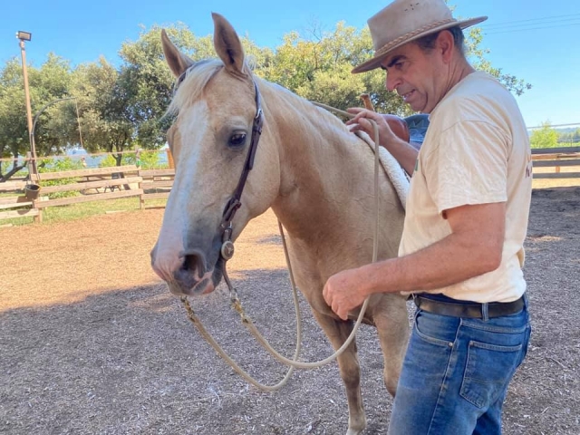  Preparazione del cavallo prima della cavalcata 