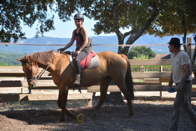  Visita del paddock a cavallo 