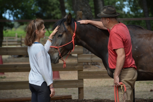 Collegamento con il cavallo prima della cavalcata 