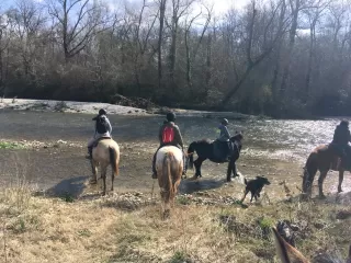 Balade à Cheval à Gaudiès en Ariège - 2 heures