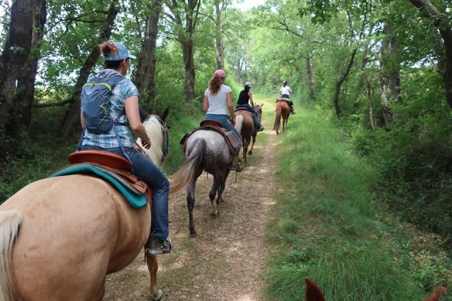  Passeggiata a cavallo nella foresta dell'Ariège 