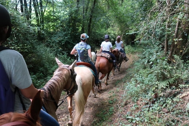 Scoperta dei boschi dell'Ariège a cavallo 
