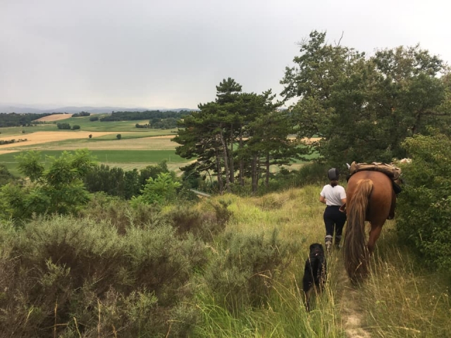  Short break during the horseback ride 