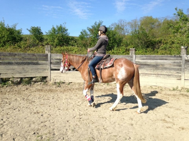  Horse riding lessons in Ariège