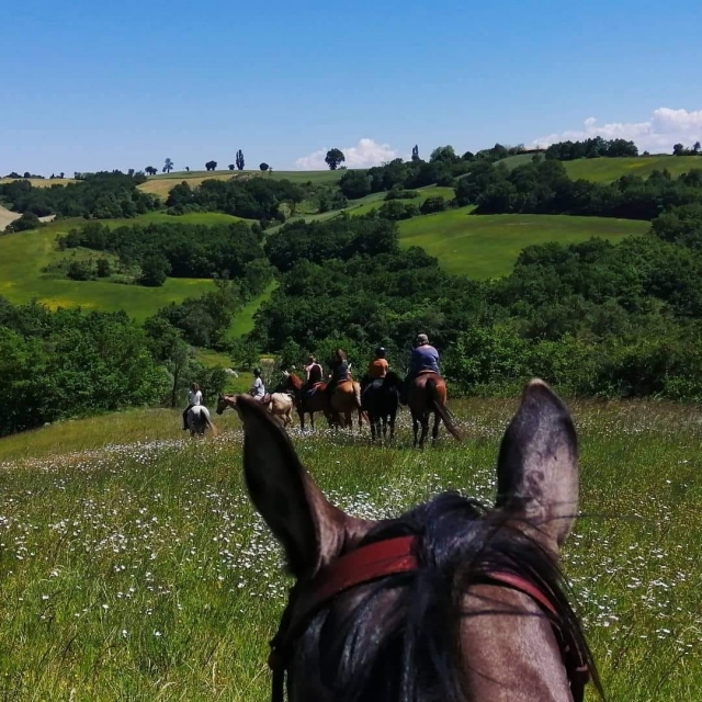  The beautiful valleys of Ariège 