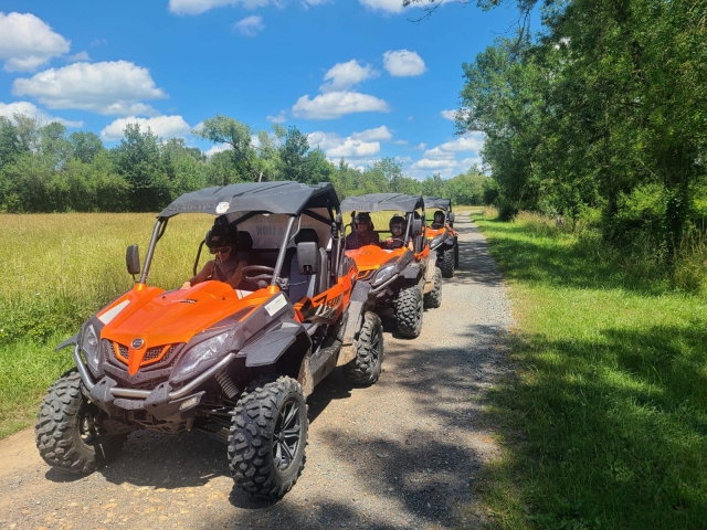  Paseo en buggy guiado por un monitor 