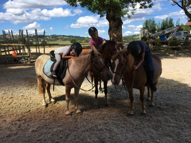  Amor por los caballos 