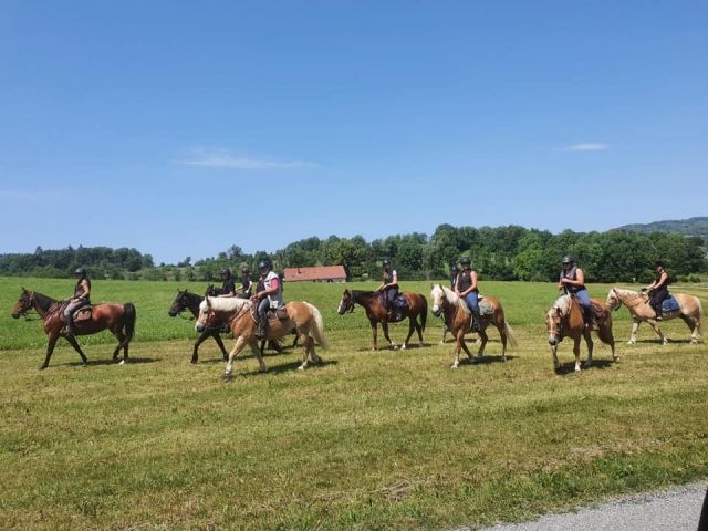  Descubrimiento de los paisajes de Doubs a caballo 