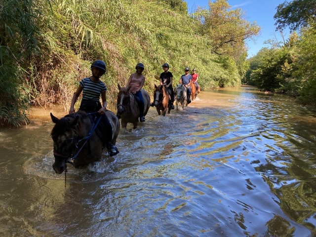  Passeggiata a cavallo con i nostri equini